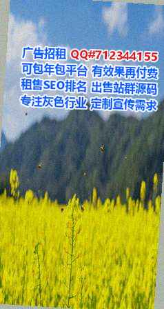 河北孕母宠物事务所